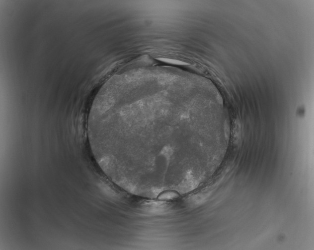 X0000116800428201001081338