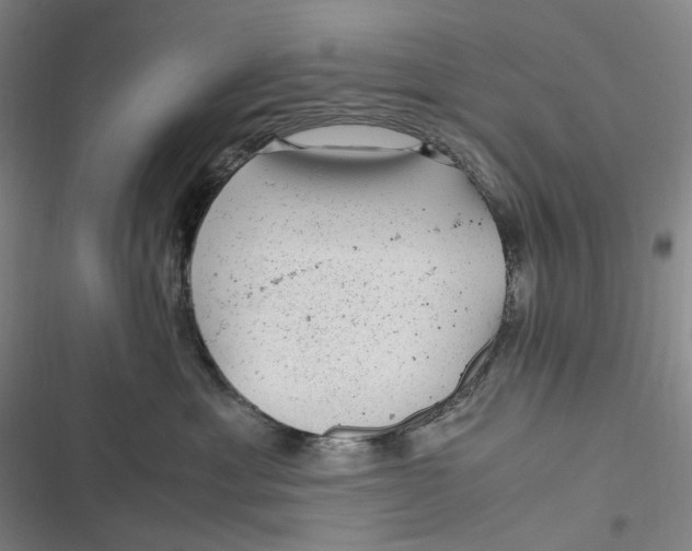 X0000116800429201001081338