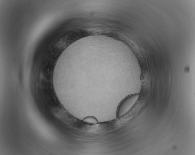 X0000116800430201001081338