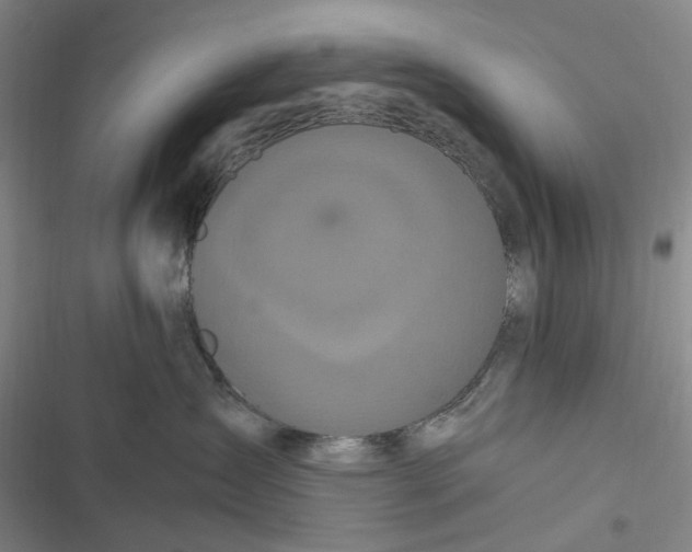 X0000116800431201001081338