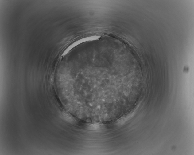 X0000116800432201001081338