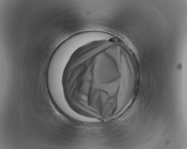 X0000116800433201001081337
