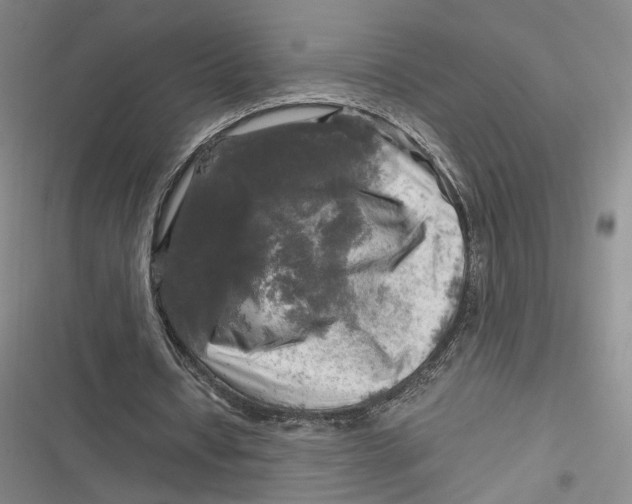 X0000116800434201001081337
