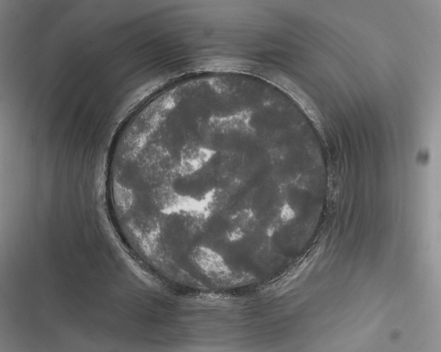 X0000116800437201001081338