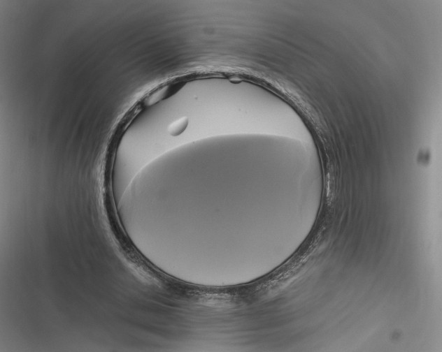 X0000116800438201001081338