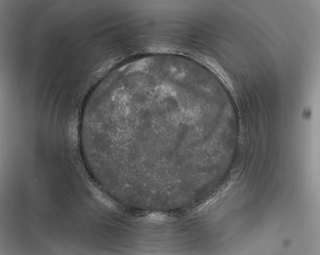 X0000116800441201001081338