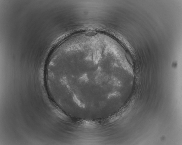 X0000116800442201001081338