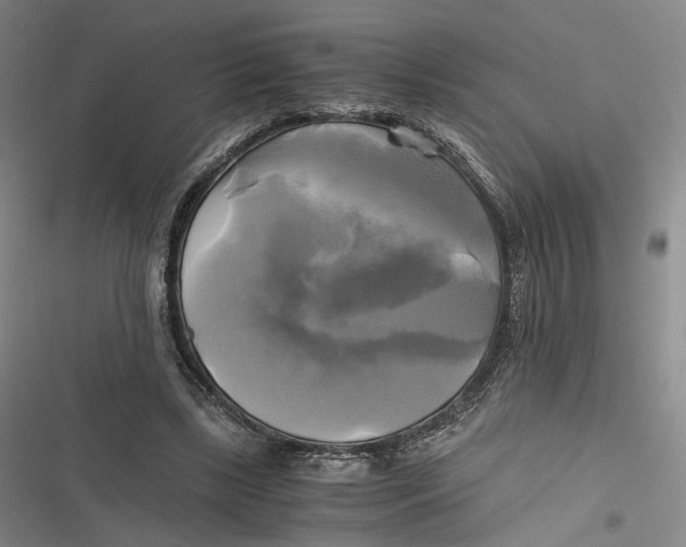 X0000116800443201001081338
