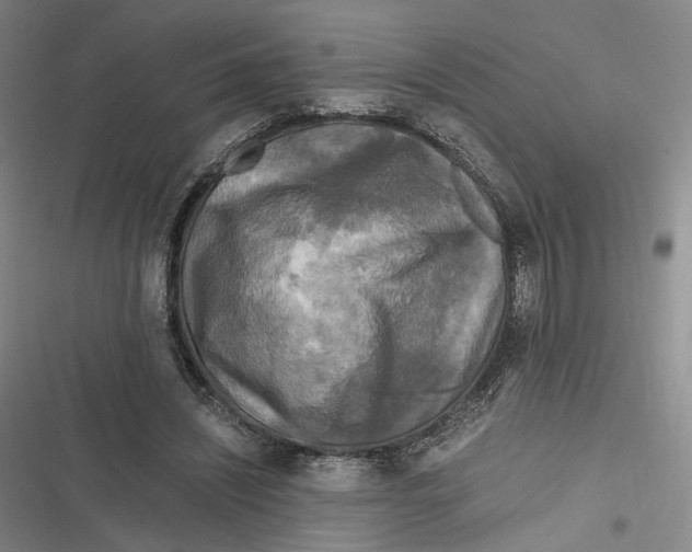 X0000116800444201001081338