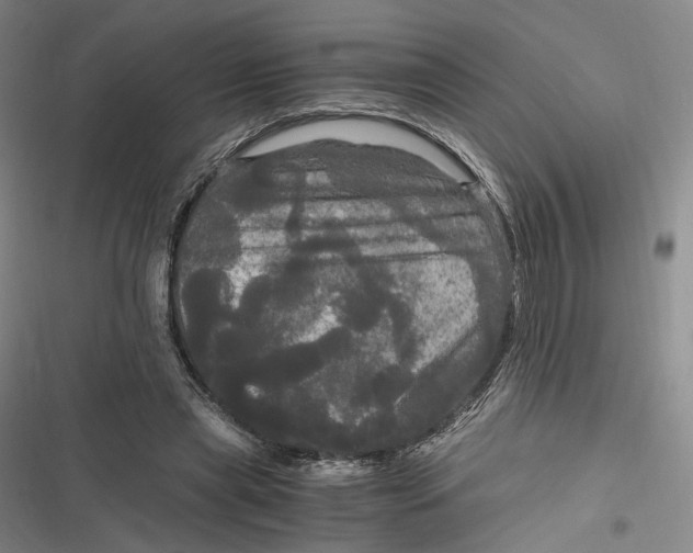 X0000116800445201001081338
