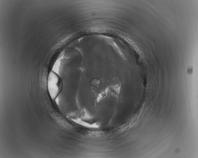X0000116800446201001081338