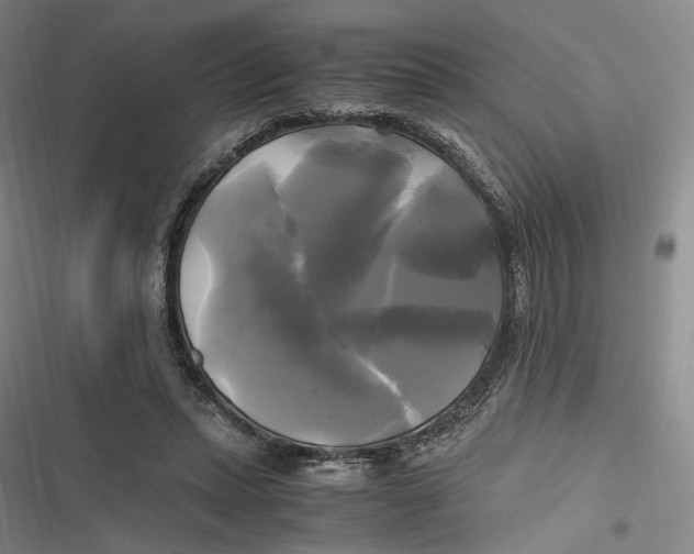 X0000116800447201001081338