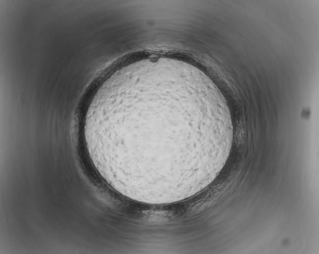 X0000116800448201001081338
