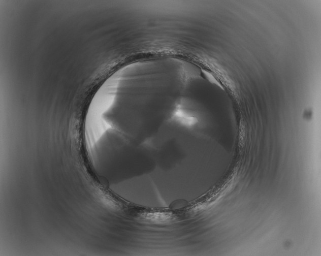 X0000116800449201001081338