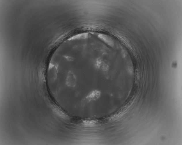 X0000116800450201001081338