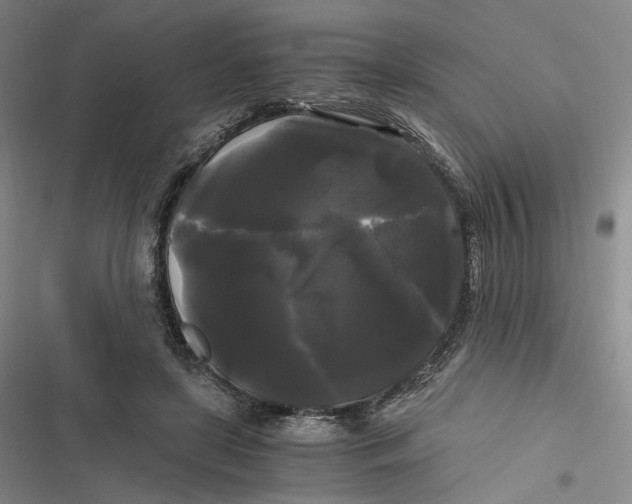 X0000116800451201001081338