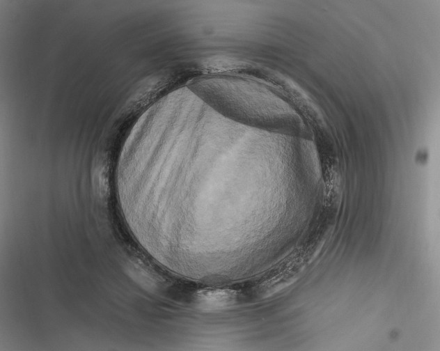 X0000116800452201001081338