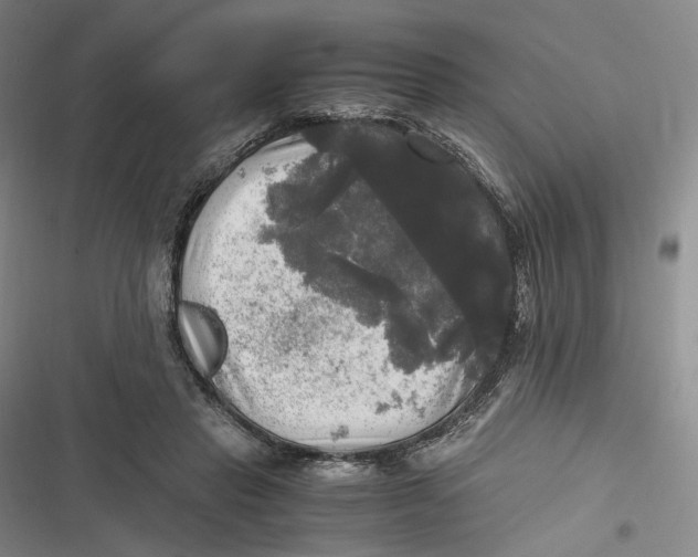 X0000116800453201001081338