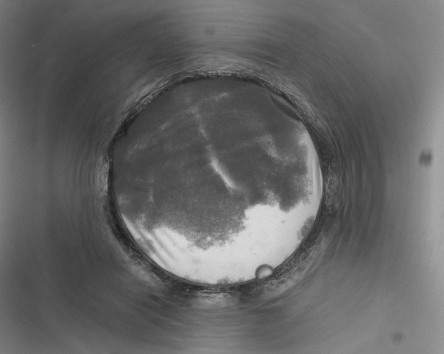 X0000116800454201001081338
