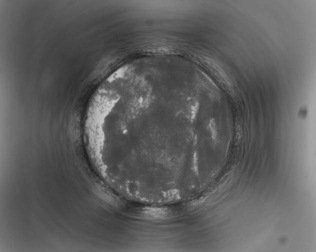X0000116800457201001081338