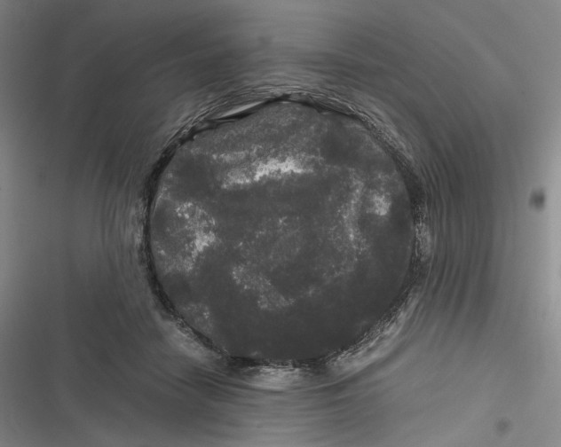 X0000116800458201001081338