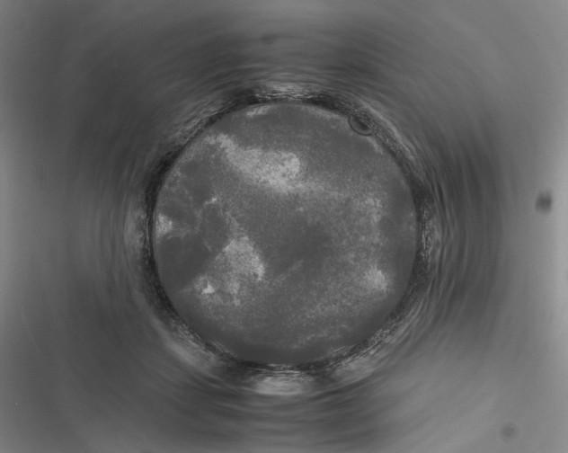 X0000116800459201001081338