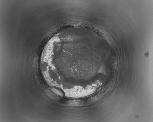 X0000116800461201001081338