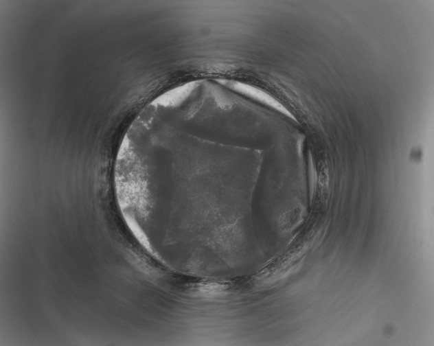 X0000116800462201001081338