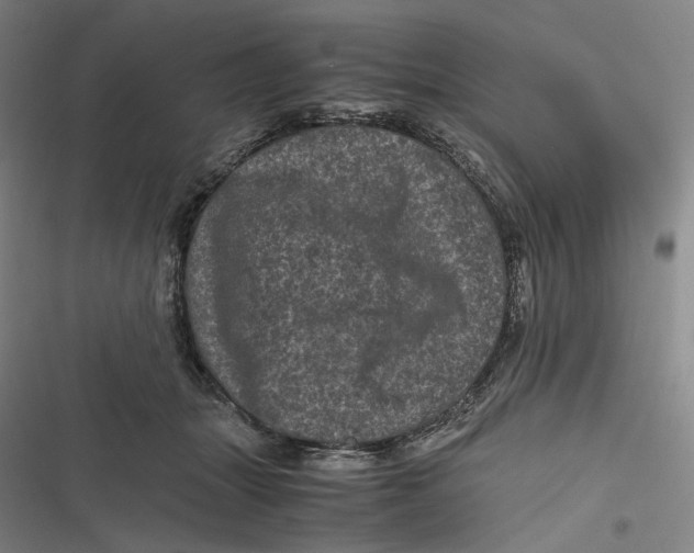 X0000116800463201001081338