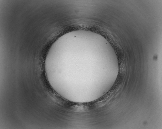 X0000116800464201001081338