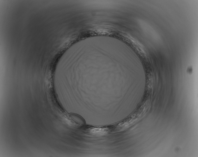 X0000116800465201001081338