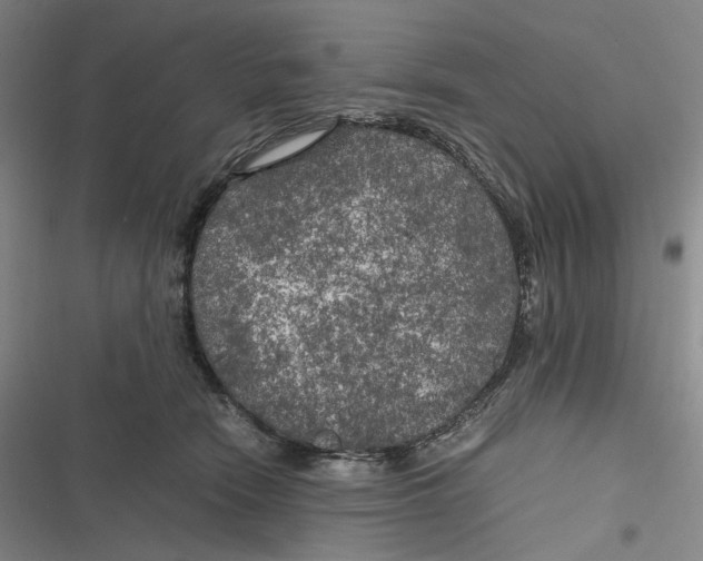 X0000116800466201001081338