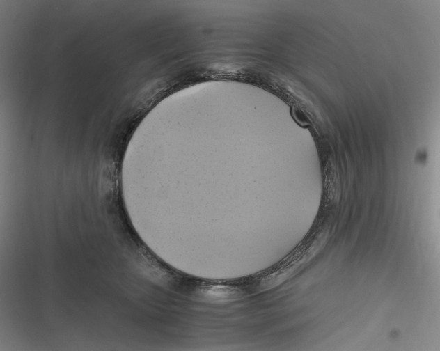 X0000116800467201001081338