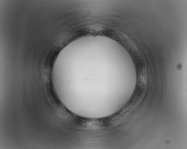 X0000116800468201001081338