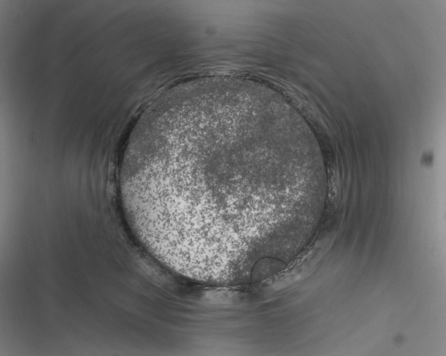 X0000116800470201001081338