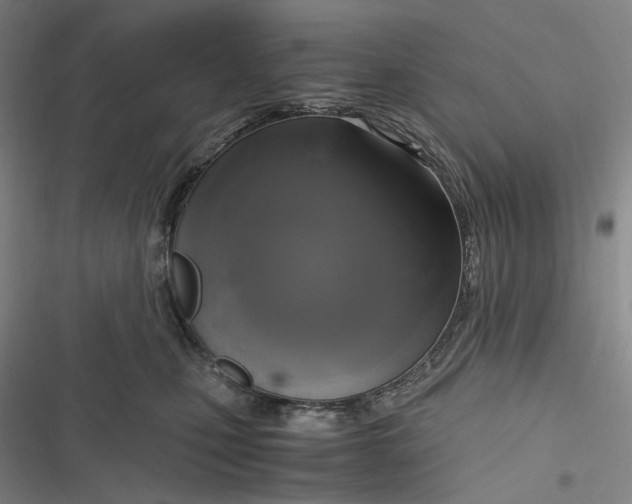 X0000116800471201001081338