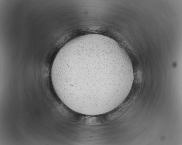 X0000116800472201001081338