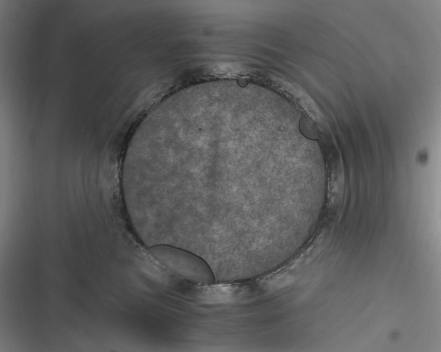 X0000116800473201001081338