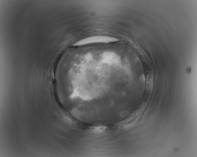X0000116800474201001081338