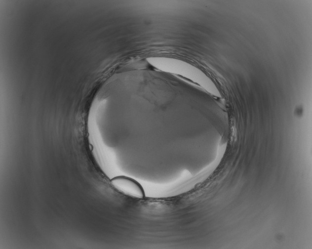 X0000116800475201001081338