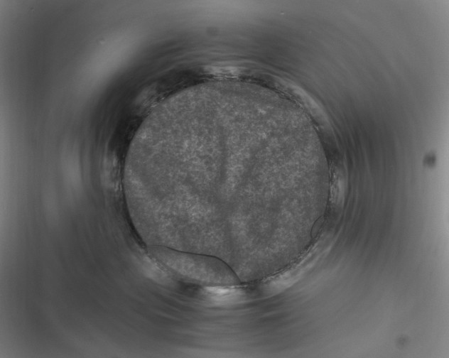 X0000116800477201001081338