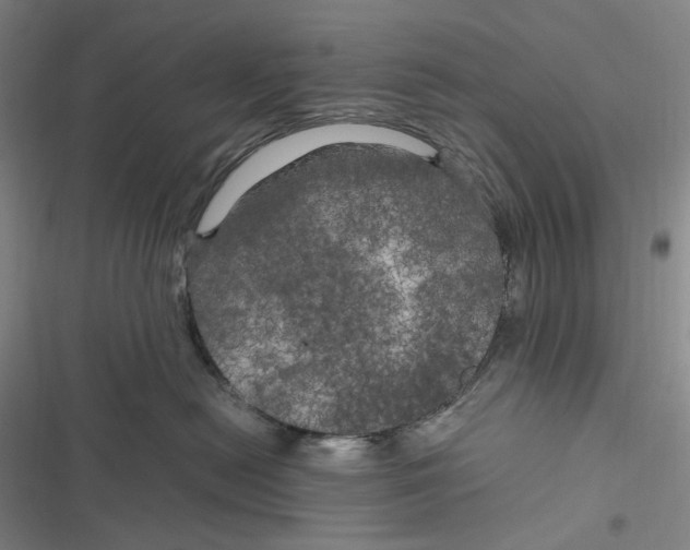 X0000116800478201001081338
