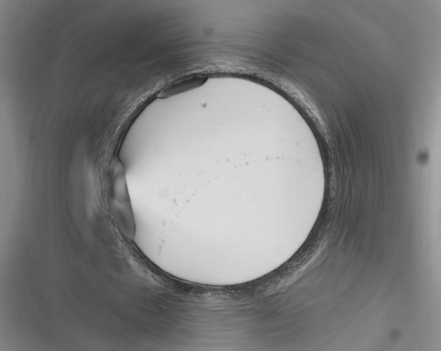 X0000116800481201001081337