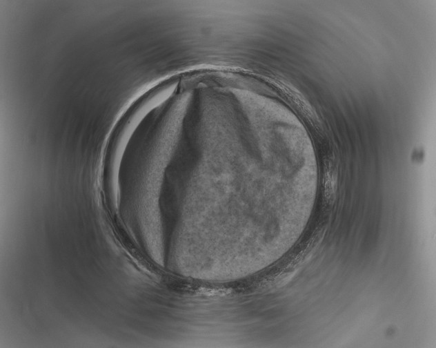 X0000116800484201001081337