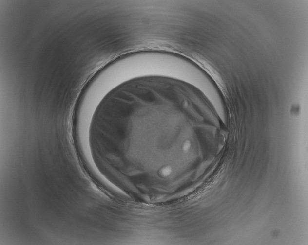 X0000116800485201001081337