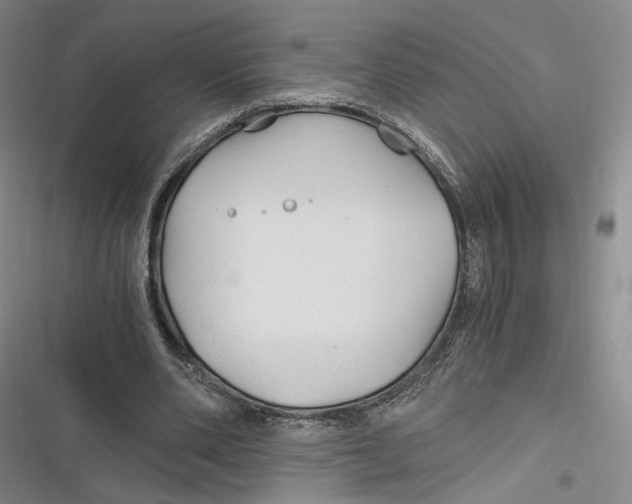 X0000116800486201001081337