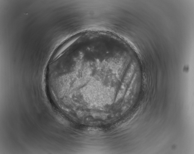 X0000116800487201001081337