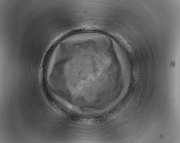 X0000116800488201001081337