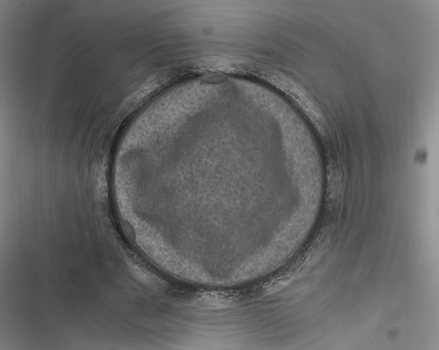 X0000116800489201001081337