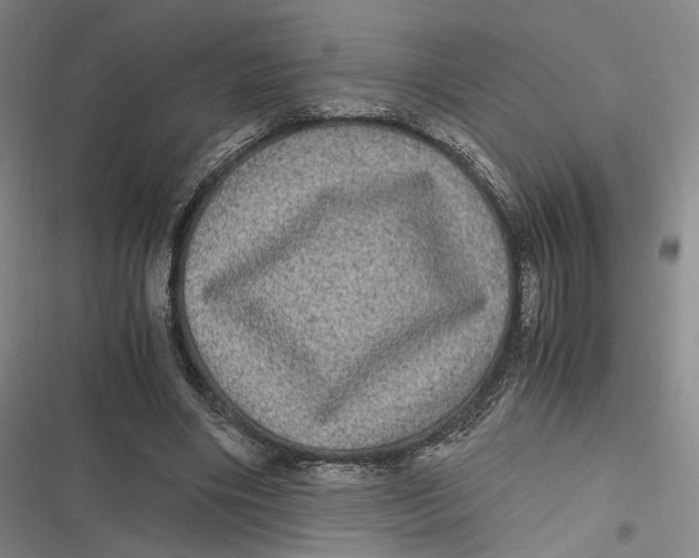 X0000116800490201001081337